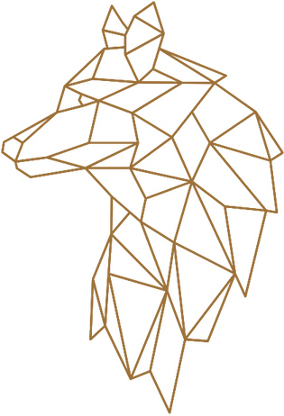 IllusLoup_DP_Marron